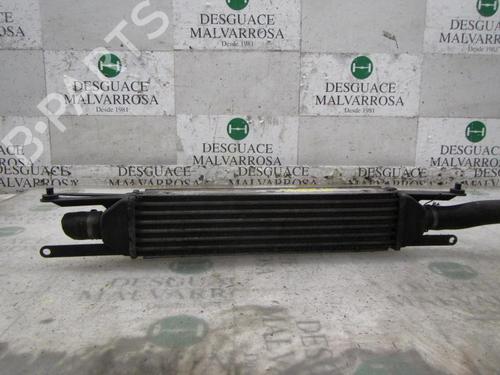 Used Intercooler Intercooler FIAT LINEA (323_, 110_) 1.3 D Multijet (323AXB11, 323AXB1A) (90 hp) 4007932 4007932