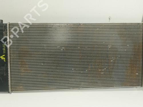 Used Water radiator Water radiator NISSAN NV200 Van e-NV (ME0N) (109 hp) 25030244 25030244