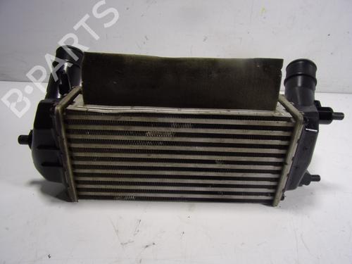 Intercooler FORD ECOSPORT 1.0 EcoBoost | BP15542099M30 