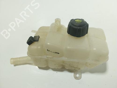 Used Expansion tank RENAULT MEGANE IV Hatchback (B9A/M/N_) 1.8 RS TCe 280 (B9M6) (279 hp) 24574420