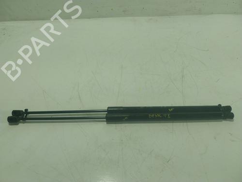 tailgate-lift-support-ford-focus-iv-hn-2018-23219601 main image