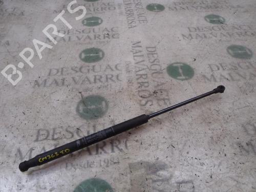 Used Tailgate lift support Tailgate lift support FIAT GRANDE PUNTO (199_) 1.3 D Multijet (199.AXD11, 199.AXD1A, 199.AXD1B,... (90 hp) 14273669 14273669
