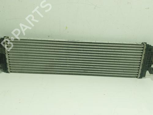 Used Intercooler Intercooler FORD FOCUS IV (HN) 1.0 EcoBoost (125 hp) 25032556 25032556