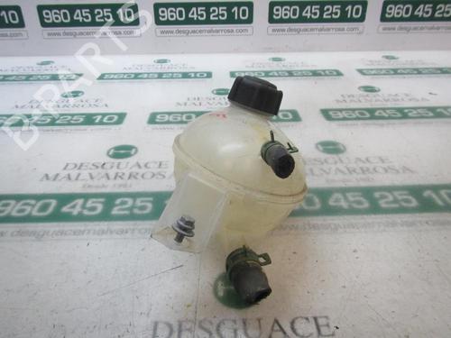 Expansion tank DACIA SANDERO II  | BP3875057C120
