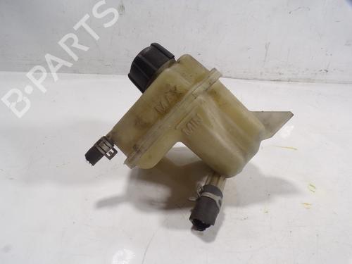Expansion tank NISSAN QASHQAI / QASHQAI +2 I (J10, NJ10, JJ10E) 2.0 dCi | BP8917347C120 