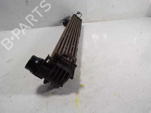 Intercooler RENAULT MEGANE III Grandtour (KZ0/1) 1.5 dCi (KZ09, KZ0D, KZ1G, KZ29, KZ14, KZ1W, KZ10, KZ1F,... | BP9122347M30 