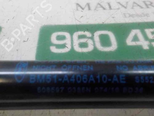 Tailgate lift support FORD FOCUS III  | BP14283783C138 