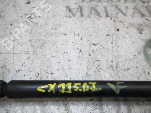 Hood lift support JAGUAR S-TYPE II (X200) 2.7 D | BP14277159C139 
