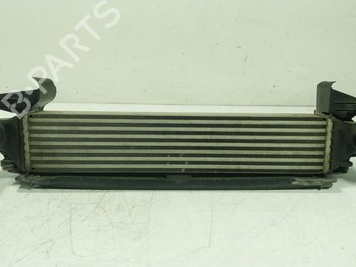 Used Intercooler Intercooler FIAT 500X (334_) 1.6 D Multijet (334AXA1B, 334AXA11) (120 hp) 36218379 36218379