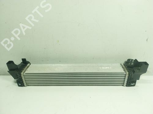 Intercooler BMW X2 (F39) xDrive 20 i | BP24494155M30 