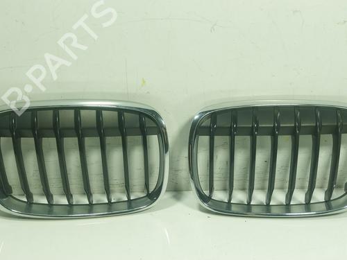Used Grille BMW X1 (F48) xDrive 20 d (190 hp) 26679796