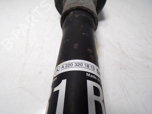 Right rear shock absorber MERCEDES-BENZ S-CLASS Coupe (C215)  | BP13614606M19