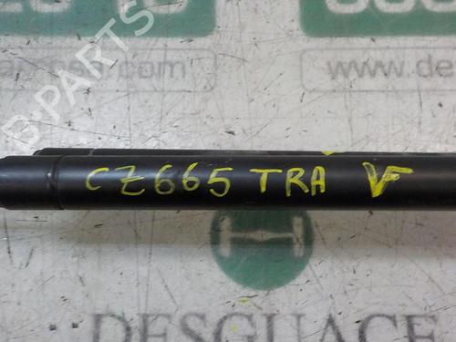 Tailgate lift support CHEVROLET AVEO / KALOS Hatchback (T250, T255) 1.4 | BP14282355C138 