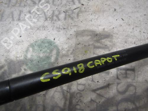 Hood lift support CITROËN XSARA Coupe (N0) 1.6 i | BP14275035C139 