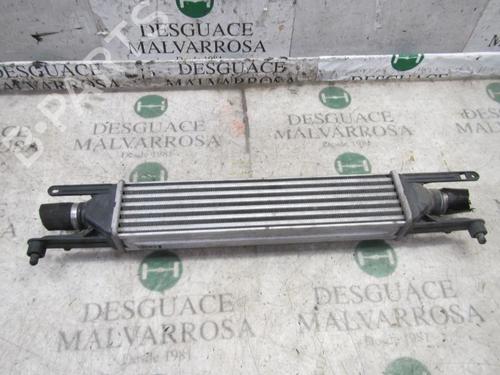 Used Intercooler Intercooler FIAT PUNTO EVO (199_) 1.3 D Multijet (95 hp) 3846639 3846639