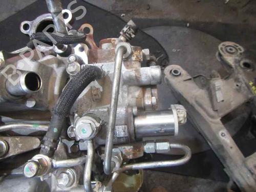  - Image 7