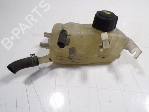 Expansion tank RENAULT SCÉNIC III (JZ0/1_) 1.5 dCi | BP8922686C120 
