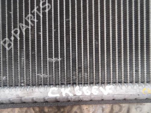 Air conditioning evaporator CITROËN JUMPER II Van 2.2 HDi 130 | BP11643132M109