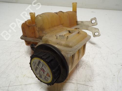 Expansion tank LAND ROVER RANGE ROVER SPORT I (L320) 2.7 D 4x4 | BP11105104C120 