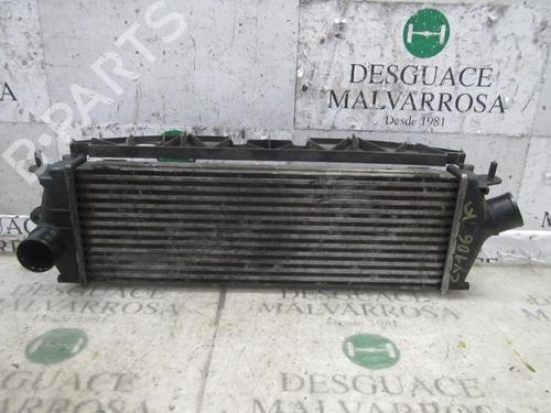Intercooler NISSAN PRIMASTAR Van (X83) 2.0 dCi 90 | BP3846918M30 - Image 3