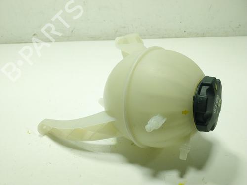 Expansion tank BMW X6 (G06, F96) xDrive 30 d Mild-Hybrid | BP29312020C120 
