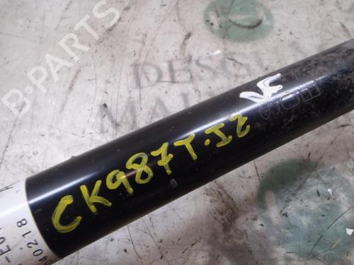 Venstre bak støtdemper HONDA ACCORD VII (CL, CN) 2.2 i-CTDi (CN1) | BP3819064M18 