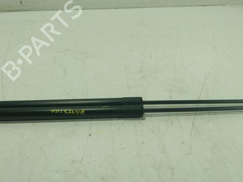 gasdmper-bagklap-dacia-lodgy-js_-2012-30814081 main image