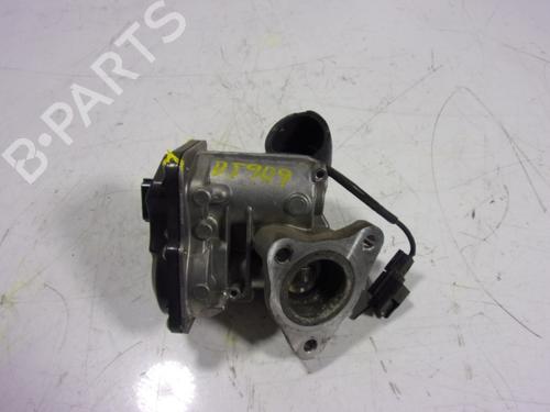 Egr RENAULT TALISMAN (LP_)  | BP10709174M69 