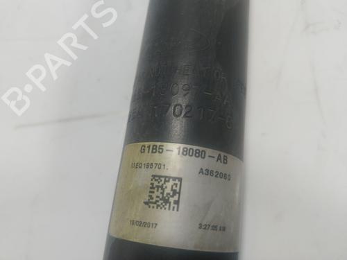 Left rear shock absorber FORD KA+ III (UK, FK)  | BP17019530M18 