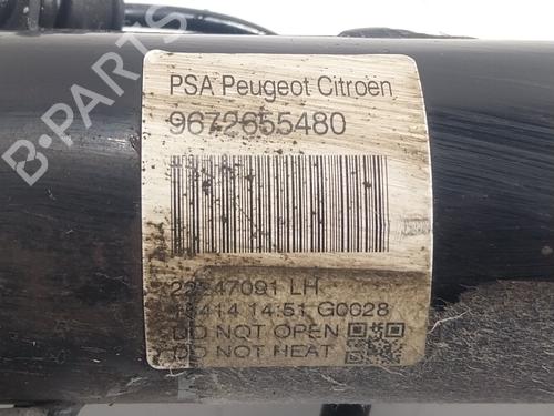 Dämpfer vorne links CITROËN C3 II (SC_) 1.4 HDi 70 (SC8HZC, SC8HR0, SC8HP4) | BP17968097M16
