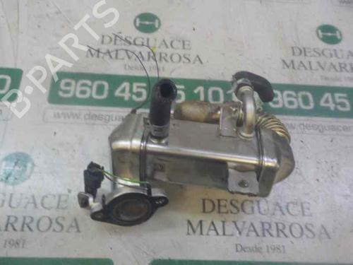 Egr NISSAN X-TRAIL III (T32_, T32R, T32RR) 1.6 dCi (T32) | BP14283962M69 