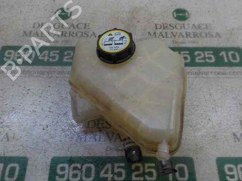 Used Expansion tank FORD FIESTA VI (CB1, CCN) 1.25 (82 hp) 5875974