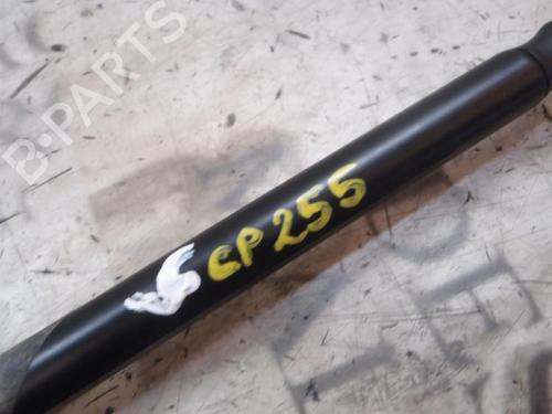 Tailgate lift support FORD FIESTA V (JH_, JD_) 1.4 TDCi | BP14273788C138 
