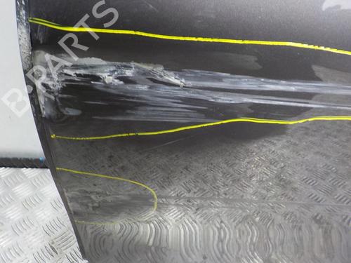 Left front door BMW 5 (F10) 520 d | BP6901752C2