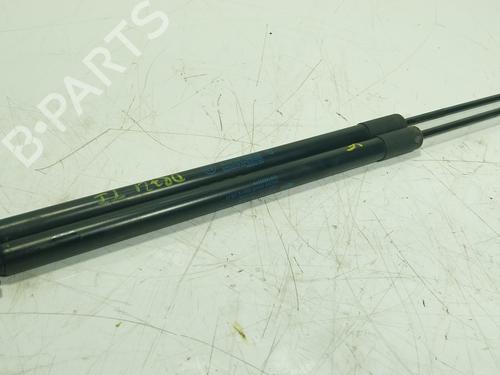 Tailgate lift support FIAT 500L (351_, 352_) 1.3 D Multijet (199.LYM11, 199.LYM1A) | BP29199174C138 
