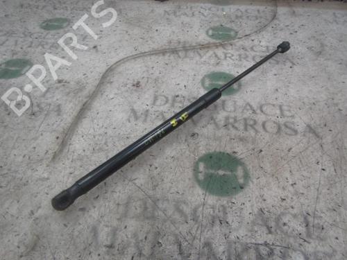 Used Tailgate lift support MERCEDES-BENZ A-CLASS (W169) A 180 CDI (169.007, 169.307) (109 hp) 14274033