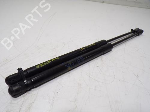 Tailgate lift support BMW 1 (E87) 116 d | BP15183648C138 