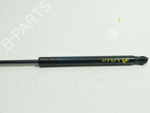 tailgate-lift-support-bmw-x5-g05-f95-2018-34366557 main image