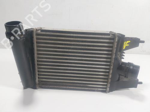 Used Intercooler Intercooler NISSAN JUKE (F15) 1.2 DIG-T (115 hp) 19644286 19644286