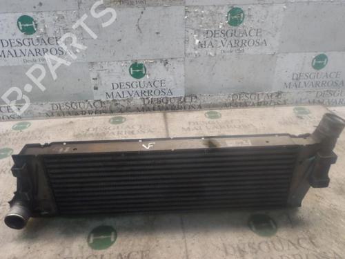 Intercooler Intercooler RENAULT MEGANE II Saloon (LM0/1_) 1.9 dCi (LM0G, LM1G, LM2C) (120 hp) 3815361 3815361