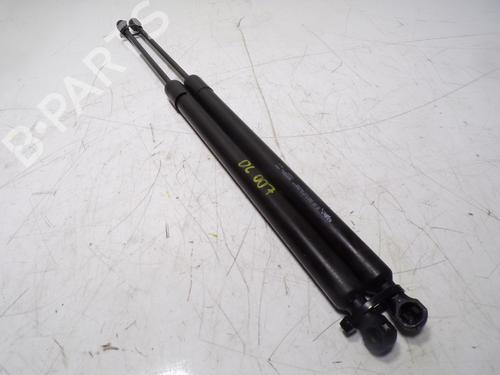 Tailgate lift support PEUGEOT 508 SW I (8E_) 1.6 BlueHDi 120 | BP14289441C138 