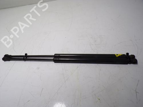 Used Tailgate lift support LAND ROVER DISCOVERY III (L319) 2.7 TD 4x4 (190 hp) 14288405