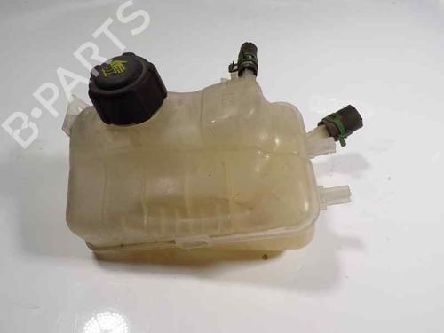 Expansion tank RENAULT MEGANE III Hatchback (BZ0/1_, B3_)  | BP7118843C120