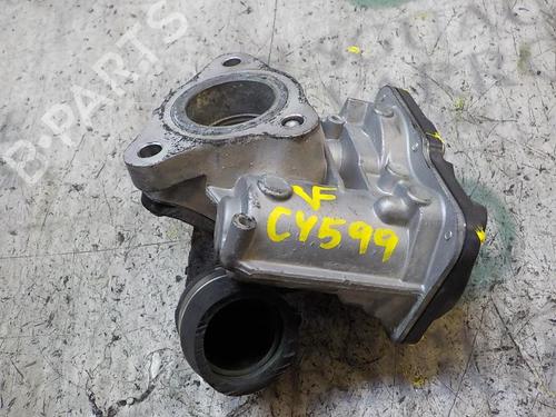 Egr RENAULT KANGOO / GRAND KANGOO II (KW0/1_)  | BP3852965M69 