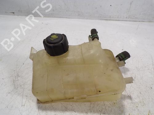 Ekpansionstank Ekpansionstank RENAULT MEGANE III Hatchback (BZ0/1_, B3_) 1.5 dCi (BZ0C) (90 hp) 9705363 9705363