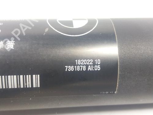 Tailgate lift support BMW X5 (F15, F85) xDrive 25 d | BP19277573C138 