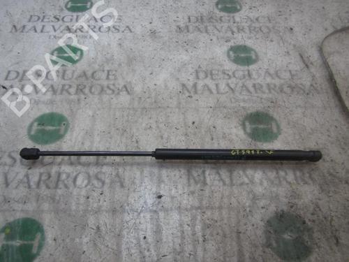 Used Tailgate lift support LANCIA YPSILON (843_) 1.3 D Multijet (843.AXE11, 843.AXE1A) (90 hp) 14275792