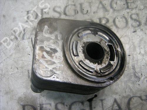 Oliekøler FIAT PUNTO (188_)  | BP14296985M33 