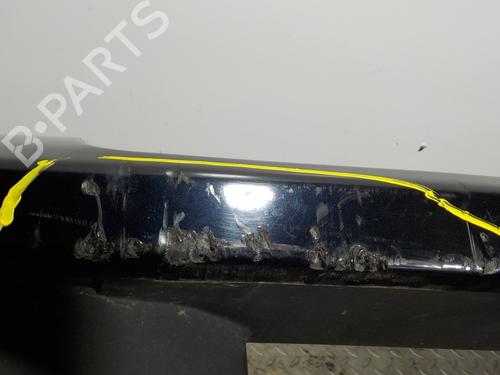 Front bumper LAND ROVER RANGE ROVER SPORT I (L320) 2.7 D 4x4 | BP11119134C7 
