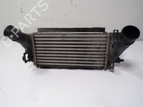 Ladeluftkühler für FORD FIESTA VI (CB1, CCN) [2008-2017]  11192818